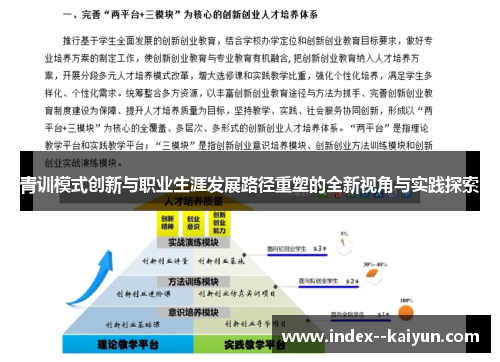 青训模式创新与职业生涯发展路径重塑的全新视角与实践探索
