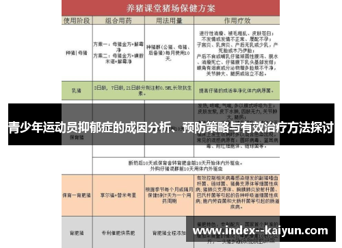 青少年运动员抑郁症的成因分析、预防策略与有效治疗方法探讨