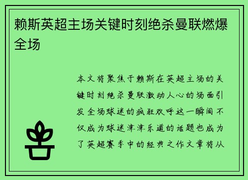 赖斯英超主场关键时刻绝杀曼联燃爆全场